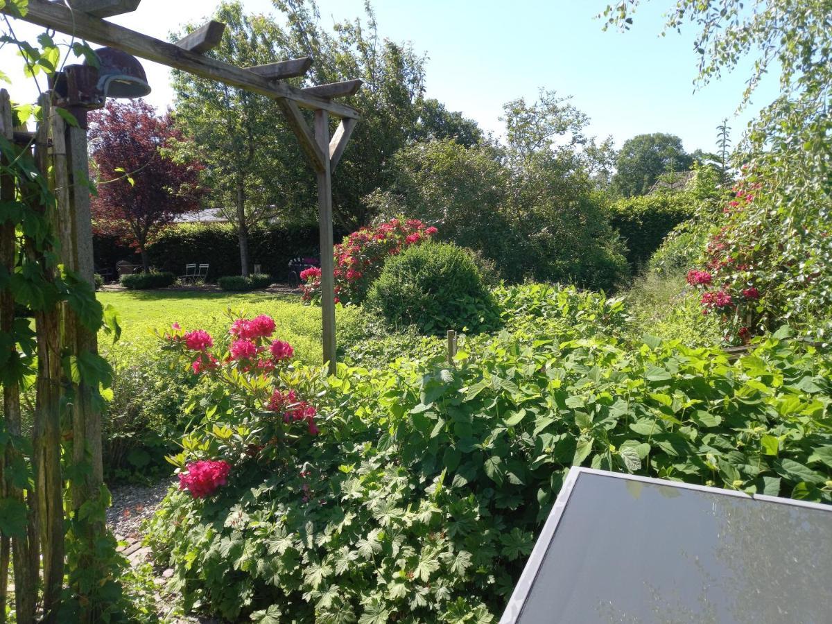 Roing B&B Hijken Bagian luar foto