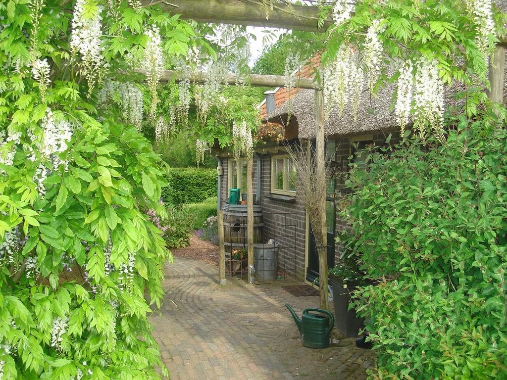 Roing B&B Hijken Bagian luar foto