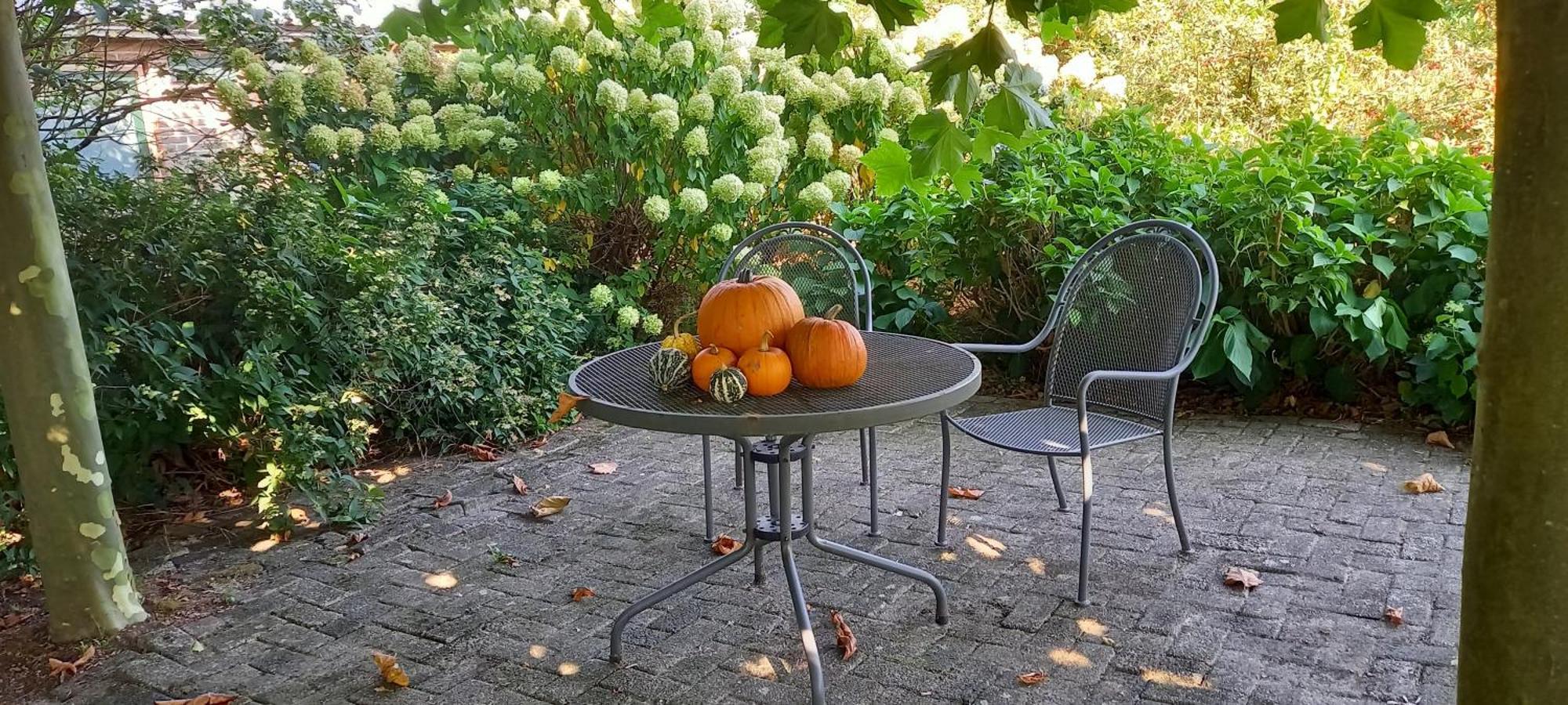 Roing B&B Hijken Bagian luar foto