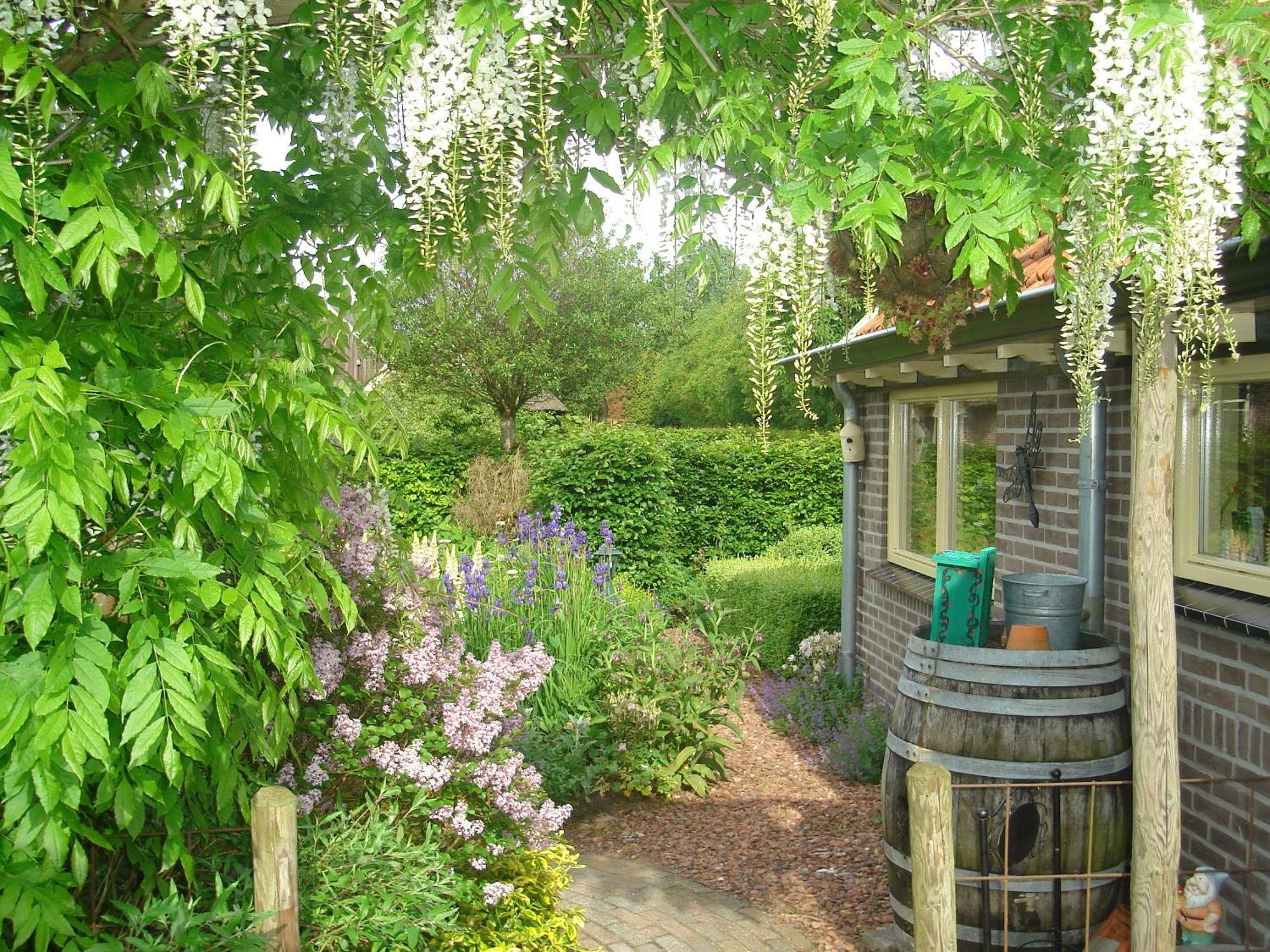 Roing B&B Hijken Bagian luar foto
