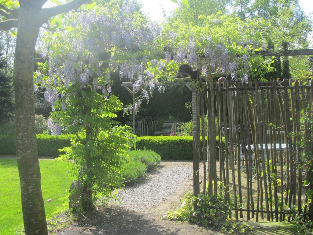 Roing B&B Hijken Bagian luar foto